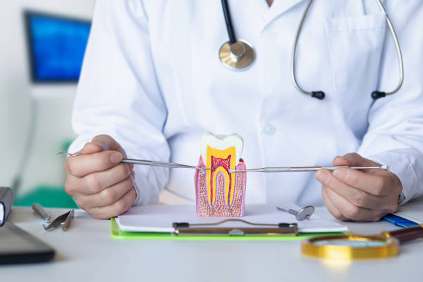 Best Orthodontic Emergency Dentist in Waller, TX